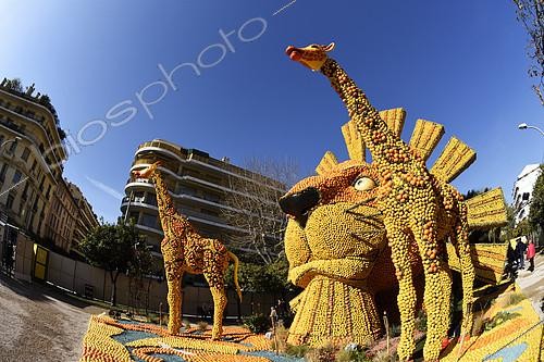 Biosphoto | 2127458 | the Lion King, theme 2017 Broadway, citrus motifs, gardens Bioves, Fete du Citron, Menton, Alpes Maritimes, France | &copy; Denis Bringard / Biosphoto