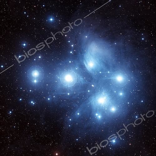 Biosphoto | 2484183 | The Pleiades Star Cluster (M45) is located in the constellation of Taurus. | © Charles Shahar / Stocktrek Images / Biosphoto