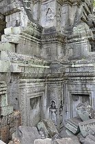 Biosphoto | 1600592 | The ruins of the temple complex of Ta Prohm, Angkor Thom, UNESCO World Heritage Site, Siem Reap, Cambodia, Asia | © Walter G. Allgoewer / imageBROKER / Biosphoto