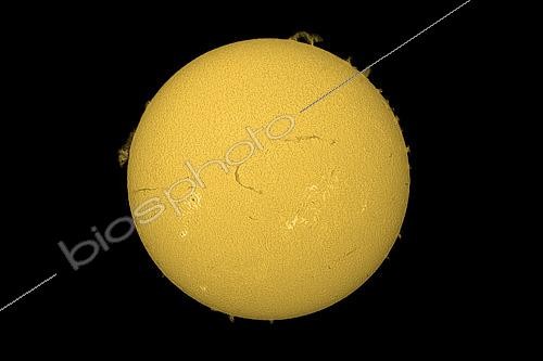 Biosphoto | 2619246 | The Sun photographed in H-Alpha on March 15, 2026. The chromosphere and prominences are clearly visible as solar activity is significant. Seine-et-Marne, France. | &copy; Christophe  Lehénaff / Biosphoto