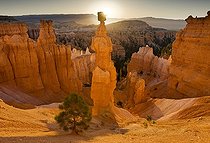Biosphoto | 917173 | 