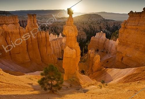 Biosphoto | 917173 |  Thors Hammer  iconic hoodoo in Bryce Canyon NP USA | &copy; Rafael Rojas / Biosphoto