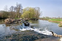 Biosphoto | 1254298 | Threshold and ice jam flood ripped La Bourbeuse river France | &copy; Bruno Mathieu / Biosphoto
