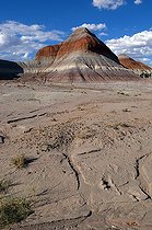 Biosphoto | 1250340 | Tipi dans Blue Mesa Badlands PN Petrified Forest Arizona USA | &copy; Daniel Heuclin / Biosphoto