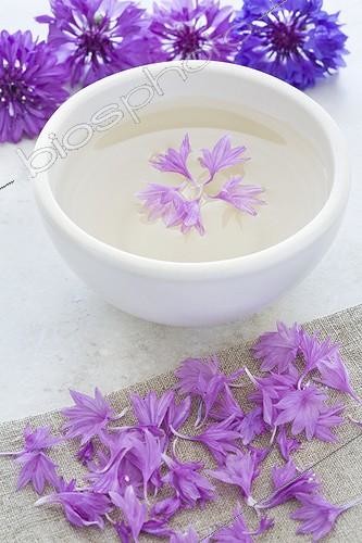 Biosphoto | 1132818 | Tisane de fleurs de Bleuet dans un bol blanc ; Des pétales sèchent sur un tissu en lin | &copy; Frédérique Bidault / Biosphoto