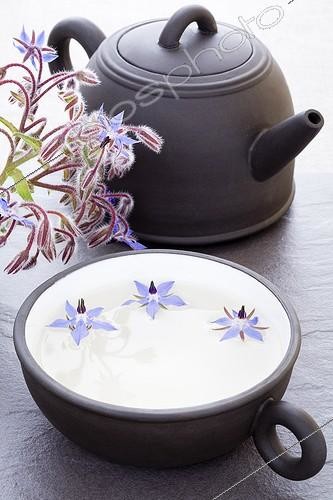 Biosphoto | 988268 | Tisane de fleurs de Bourrache | &copy; Frédérique Bidault / Biosphoto