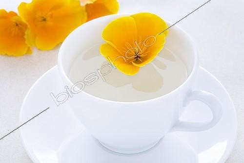 Biosphoto | 988250 | Tisane de fleurs de Pavot de Californie | &copy; Frédérique Bidault / Biosphoto