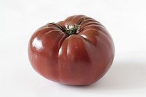 Biosphoto | 372468 | Tomate noire de Crimée | &copy; Jean-Luc & Françoise Ziegler / Biosphoto