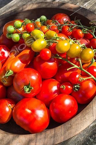 Biosphoto | 2084185 | Tomates variées, Provence, France | &copy; Philippe Giraud / Biosgarden / Biosphoto