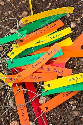 Biosphoto | 2083889 | Tomato planting - Plant labels, Provence, France | &copy; Philippe Giraud / Biosgarden / Biosphoto