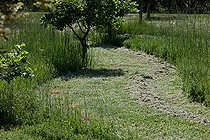 Biosphoto | 892066 | Tonte partielle dans un jardin sauvage | &copy; Philippe Giraud / Biosphoto