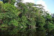 Biosphoto | 2395106 | Tortuguero National Park, Costa Rica | &copy; Jean-François Noblet / Biosphoto