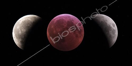 Biosphoto | 2624560 | Total lunar eclipse, Upaix, Hautes Alpes, France, January 1, 2019. | &copy; Philippe Jacquot / Biosphoto