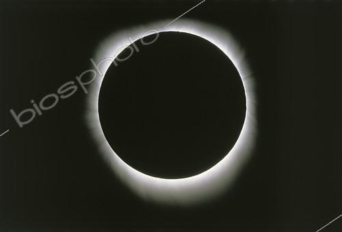 Biosphoto | 2617569 | Total solar eclipse, solar corona, Guadeloupe. | &copy; Christophe  Lehénaff / Biosphoto