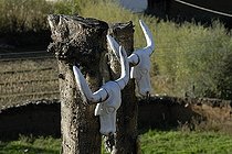 Biosphoto | 618373 | Totem at the entrance to a village Moso Yunnan China | &copy; Angélique & Guy Bescond / Biosphoto