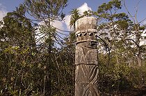 Biosphoto | 109842 | Totem canaque en Nouvelle-Calédonie | &copy; Michel Gunther / Biosphoto