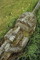 Biosphoto | 108542 | Totem indien couché dans l'herbe Colombie Britanique | &copy; Alain Mafart-Renodier / Biosphoto