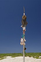 Biosphoto | 742576 | Totem Shell and feathers on the island Huon  | &copy; Nicolas-Alain Petit / Biosphoto