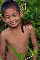 Biosphoto | 2082370 | Toupaye commune (Tupaia glis) ou Toupaye de Mentawai (Tupaia chrysogaster) ? sur l'épuale d'un garçon, Siberut, Mentawei, Indonésie. conditions controlées. | &copy; Daniel Heuclin / Biosphoto