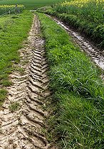 Biosphoto | 2587982 | Tractor tire tracks in a road, Sarthe, France | &copy; Michel Gile / Biosphoto