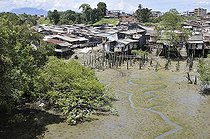 Biosphoto | 1606396 | Traditional district, slum with stilt houses on the mangrove banks of the Pacific coast at low tide, Buenaventura, Valle del Cauca, Colombia, South America | © Florian Kopp / imageBROKER / Biosphoto