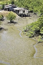 Biosphoto | 1606397 | Traditional district, slum with stilt houses on the mangrove banks of the Pacific coast at low tide, Buenaventura, Valle del Cauca, Colombia, South America | © Florian Kopp / imageBROKER / Biosphoto