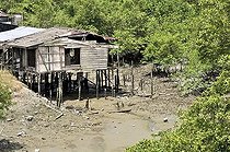 Biosphoto | 1606398 | Traditional district, slum with stilt houses on the mangrove banks of the Pacific coast at low tide, Buenaventura, Valle del Cauca, Colombia, South America | © Florian Kopp / imageBROKER / Biosphoto