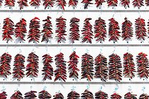 Biosphoto | 2074057 | Traditional drying of chilli pepper, Espelette pepper, Espelette, Basque Country, France | &copy; Laurent Lhoté / Biosphoto