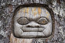 Biosphoto | 745157 | traditional living-tree totem carving, Juneau, USA, Alaska | &copy; Franco Banfi / WaterFrame / Biosphoto