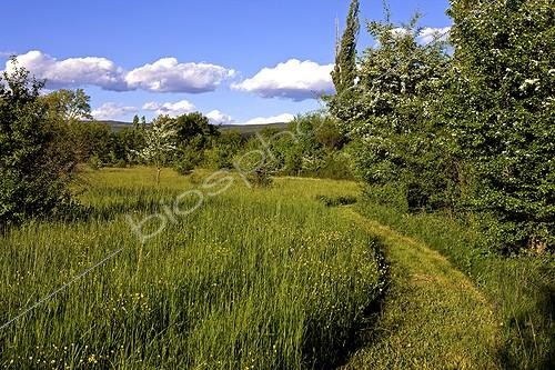 Biosphoto | 754790 | Trail in tall grass Provence France | &copy; Michel Gunther / Biosphoto