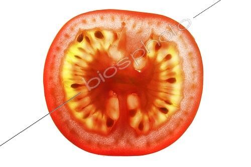Biosphoto | 2493505 | Tranche de tomate cerise ou tomate cocktail (Solanum lycopersicum) | &copy; Jochen Tack / imageBROKER / Biosphoto