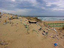 Biosphoto | 1461383 | Trash rubbish on dunes at the beach of Atlantic ocean in France | &copy; Harald Theissen / imageBROKER / Biosphoto