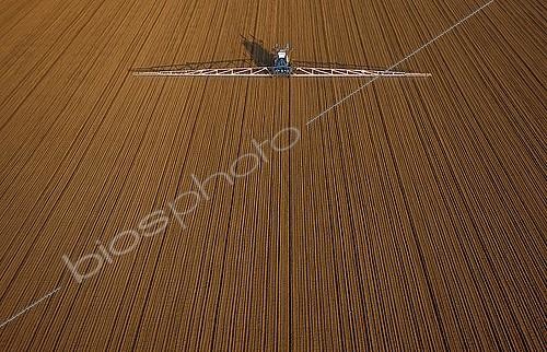 Biosphoto | 1119384 | Treatment of beet seedlings by pesticides France | &copy; Michel Bureau / Biosphoto