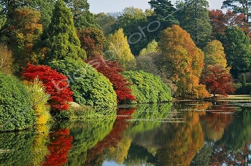 Biosphoto | 1778723 | Trees ; Tree, Trees, Mixed colours subject. | &copy; Iris Pitcher / Flowerphotos / Biosphoto