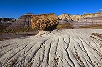 Biosphoto | 1250346 | Tronc fossilisé Blue Mesa Badlands Petrified Forest Arizona | &copy; Daniel Heuclin / Biosphoto