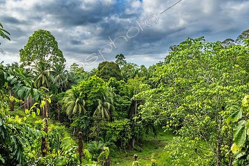 Biosphoto | 2612850 | Tropical rainforest landscape from Aganakan Hotel, Sabah, Borneo, Malaysia. | &copy; Stéphane Vitzthum / Biosphoto