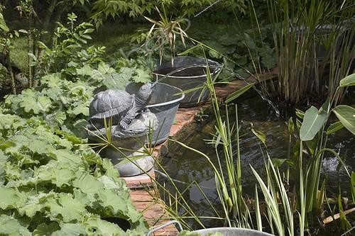 Biosphoto | 461189 | Turtle garden fountain at Jardin de Chantal et Alain | &copy; NouN / Biosphoto
