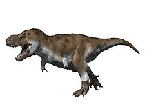 Biosphoto | 2478368 | Tyrannosaurus rex, Theropoda, Late cretaceous of Montana. | &copy; Nobumichi Tamura / Stocktrek Images / Biosphoto