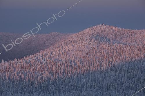 Biosphoto | 2553583 | Valtavaara in winter, view from Rukatunturi Mountain, Valtavaara-Pyhävaara Nature Reserve, Kuusamo, Northern Ostrobothnia, Finland, Europe | &copy; Franz Christoph Robiller / imageBROKER / Biosphoto