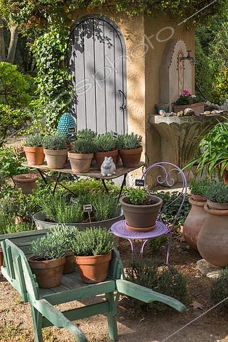 Biosphoto | 2083807 | Various herbs in pots, Provence, France | &copy; Philippe Giraud / Biosgarden / Biosphoto