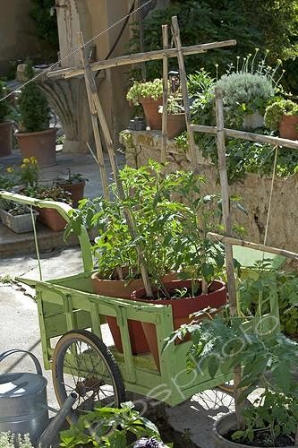Biosphoto | 1202431 | Vegetable garden in pots in spring PACA France  | &copy; Philippe Giraud / Biosphoto
