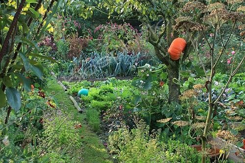 Biosphoto | 754042 | Vegetable garden in The Garden of Marie-Ange in Croisette ; Pear tree 'Conférence' | &copy; Hervé Lenain / Biosphoto