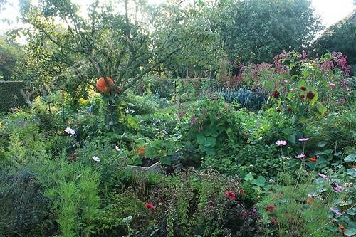 Biosphoto | 754048 | Vegetable garden in The Garden of Marie-Ange in Croisette ; Pear tree 'Conférence' | &copy; Hervé Lenain / Biosphoto