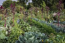 Biosphoto | 1249947 | Vegetables in a flowered organic kitchen garden | &copy; NouN / Biosphoto