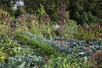 Biosphoto | 1249948 | Vegetables in a flowered organic kitchen garden | &copy; NouN / Biosphoto