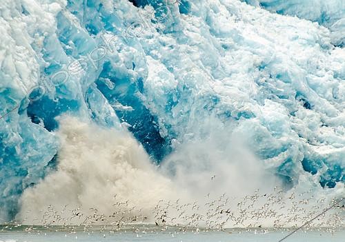 Biosphoto | 2406152 | Velvet of the Eternity Glacier and seabirds, Greenland | &copy; Raphaël Sané / Biosphoto