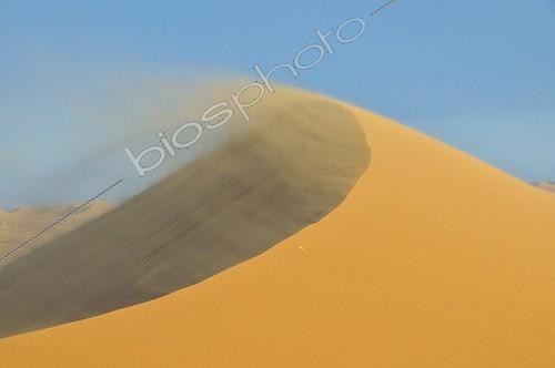 Biosphoto | 1610452 | Vent dans les dunes - Erg Chebbi Maroc | &copy; Walter G. Allgoewer / imageBROKER / Biosphoto