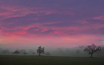 Biosphoto | 2462385 | Vergers au crépuscule, Parc naturel régional des Vosges du Nord, France | &copy; Michel Rauch / Biosphoto