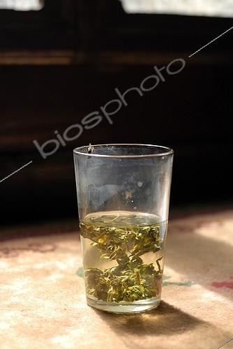 Biosphoto | 619351 | Verre de Thé Yunnan Chine ; Lieu :  près du lac Lugu | &copy; Angélique & Guy Bescond / Biosphoto