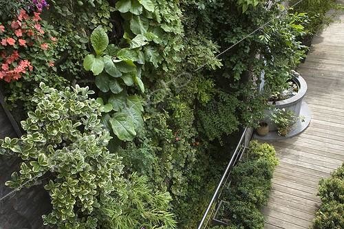 Biosphoto | 704621 | Vertical city garden | &copy; NouN / Biosphoto